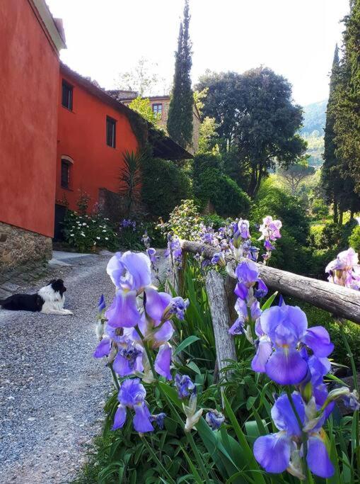 Uno Spazio Di Relax In Toscana Apartment Buti Ngoại thất bức ảnh