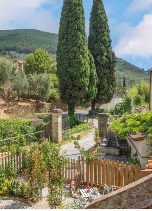 Uno Spazio Di Relax In Toscana Apartment Buti Ngoại thất bức ảnh